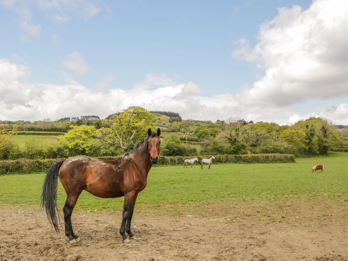 Higher Whiddon Farm Whiddon Well Holiday home Ashburton